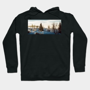 White Scandinavian Winter Landscape With Mysterious Fog on Sunny Hoodie